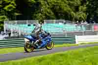 Middle Group Blue Bikes